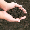 Aged Leaf Mold