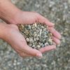 Pea Gravel