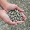 No. 8 Angular Limestone