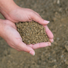 Limestone Screenings