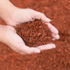 dyed-red-mulch_thumb