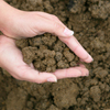 Fill Dirt