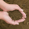 Virgin Shredded Topsoil